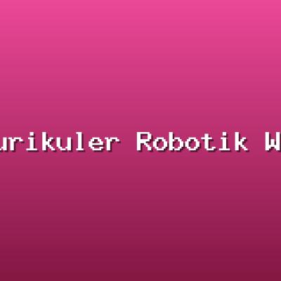 Ekstrakurikuler Robotik Wakili Sekolah di Kompetisi Nasional